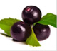 Fructele de acai